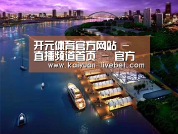 案例展示八