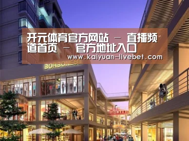 案例展示一